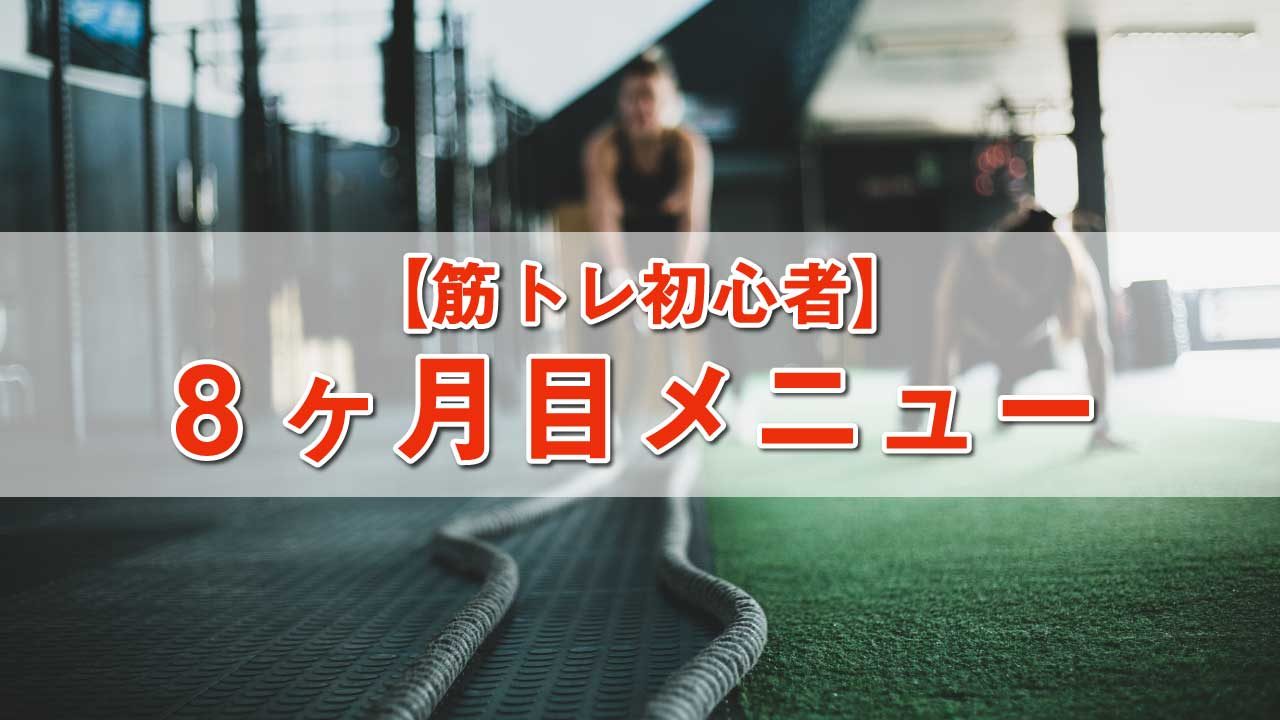 筋トレ初心者8ヶ月目のメニュー 所要時間 約1時間 せなログ